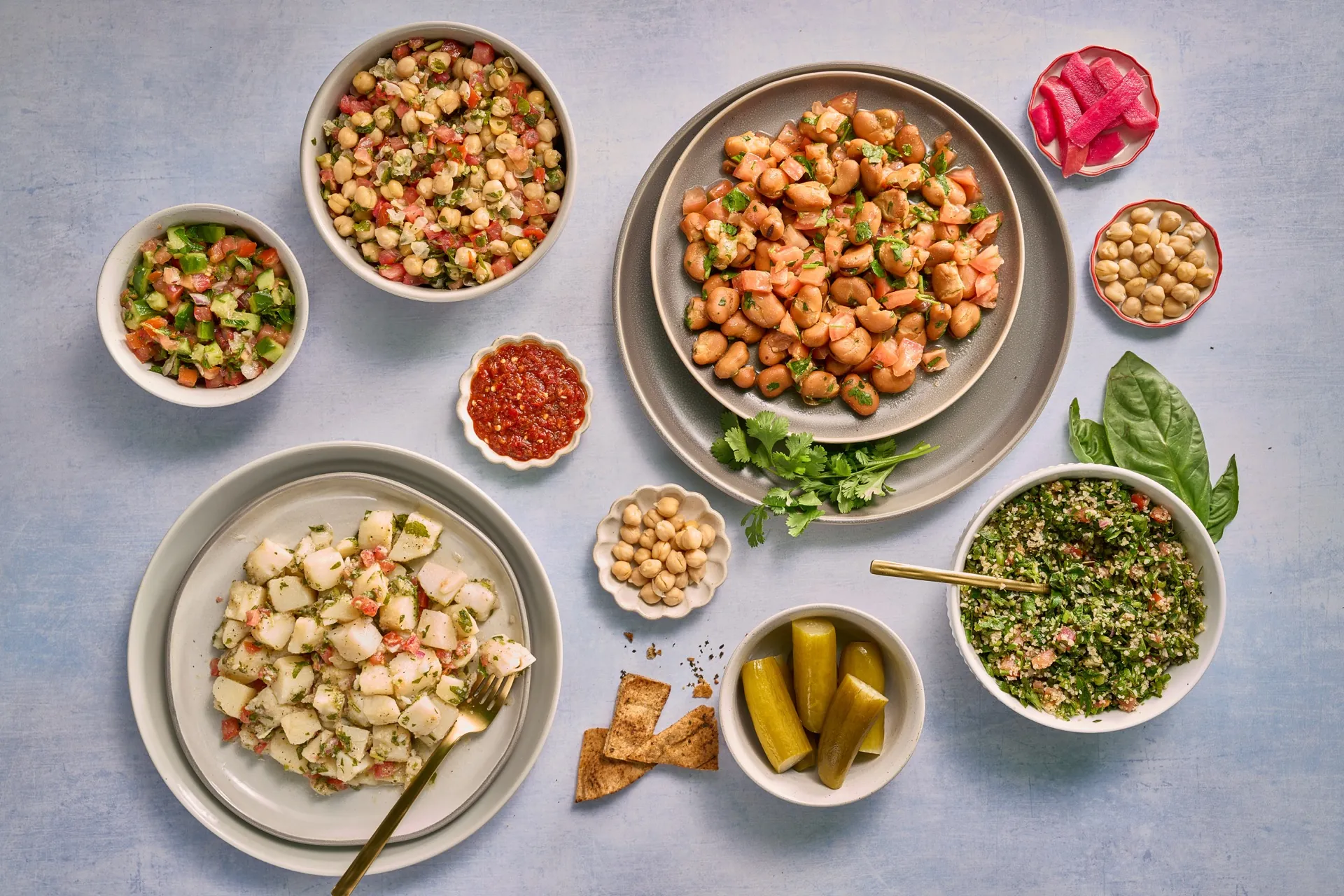 An array of handcrafted hummus varieties with falafel, pita chips, and fresh vegetables